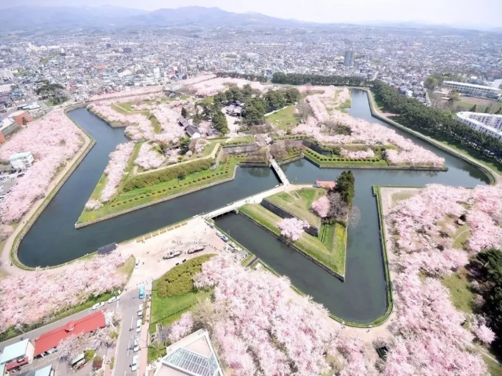 春天時五稜郭公園櫻花盛開，其星形結構也十分有趣。