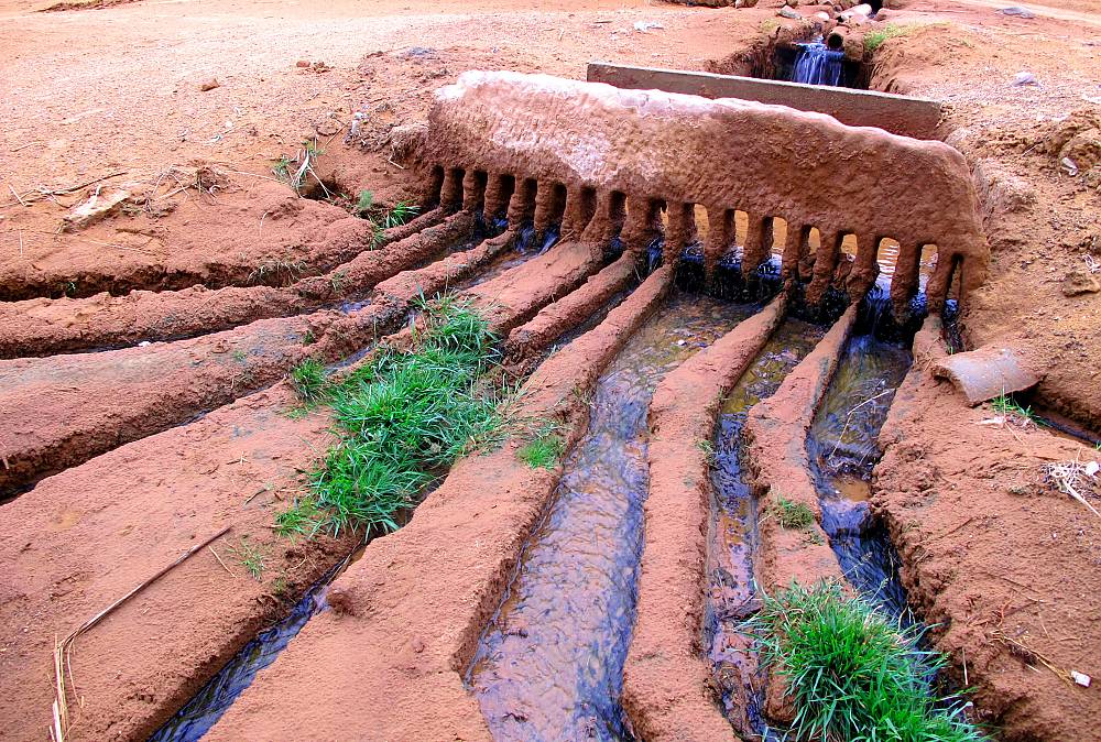 Le peigne répartiteur (Qasri), Algérie