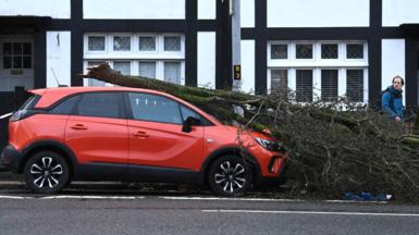 Fallen tree on red car on street with man looking on 