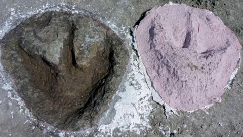 dinosaur footprint and plaster cast next to each other.