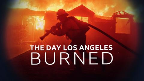 Panorama: The Day Los Angeles Burned