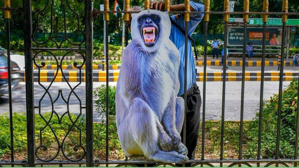 A cut-out of a Langur in central Delhi