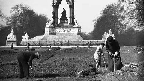 Getty Images The royal parks in London were turned into allotments to allow people to grow food at the height of the World Wars (Credit: Getty Images)