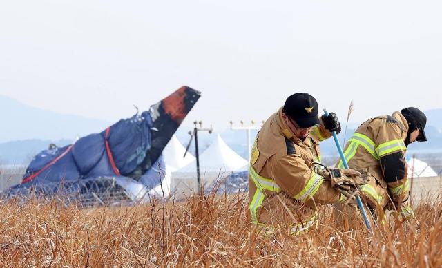 제주항공 참사 2주째인 11일 오전 무안국제공항에서 소방대원들이 사고 현장 인근에서 수색 작업을 펼치고 있다 사진연합뉴스
