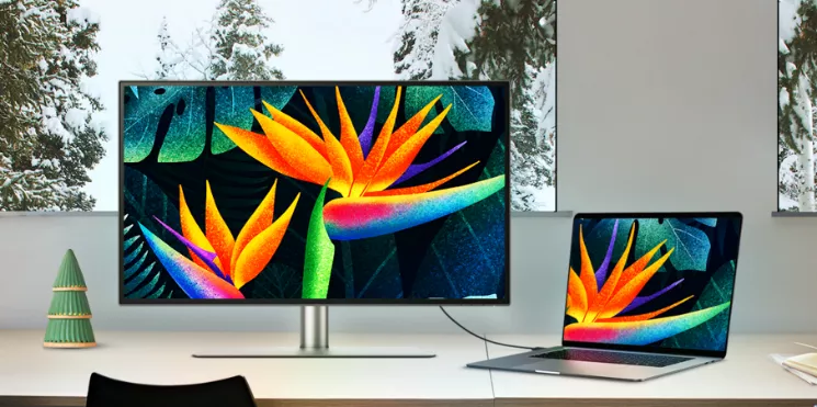 Mac kompatible Monitore