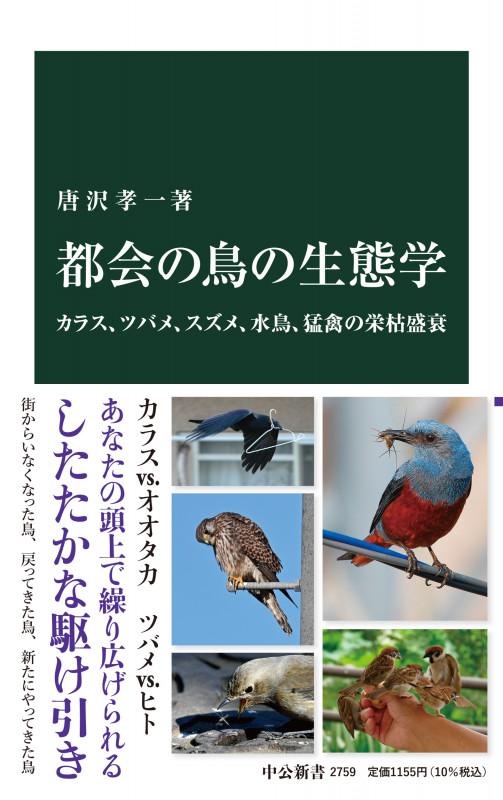 都会の鳥の生態学 カラス、ツバメ、スズメ、水鳥、猛禽の栄枯盛衰 (中公新書 2759)