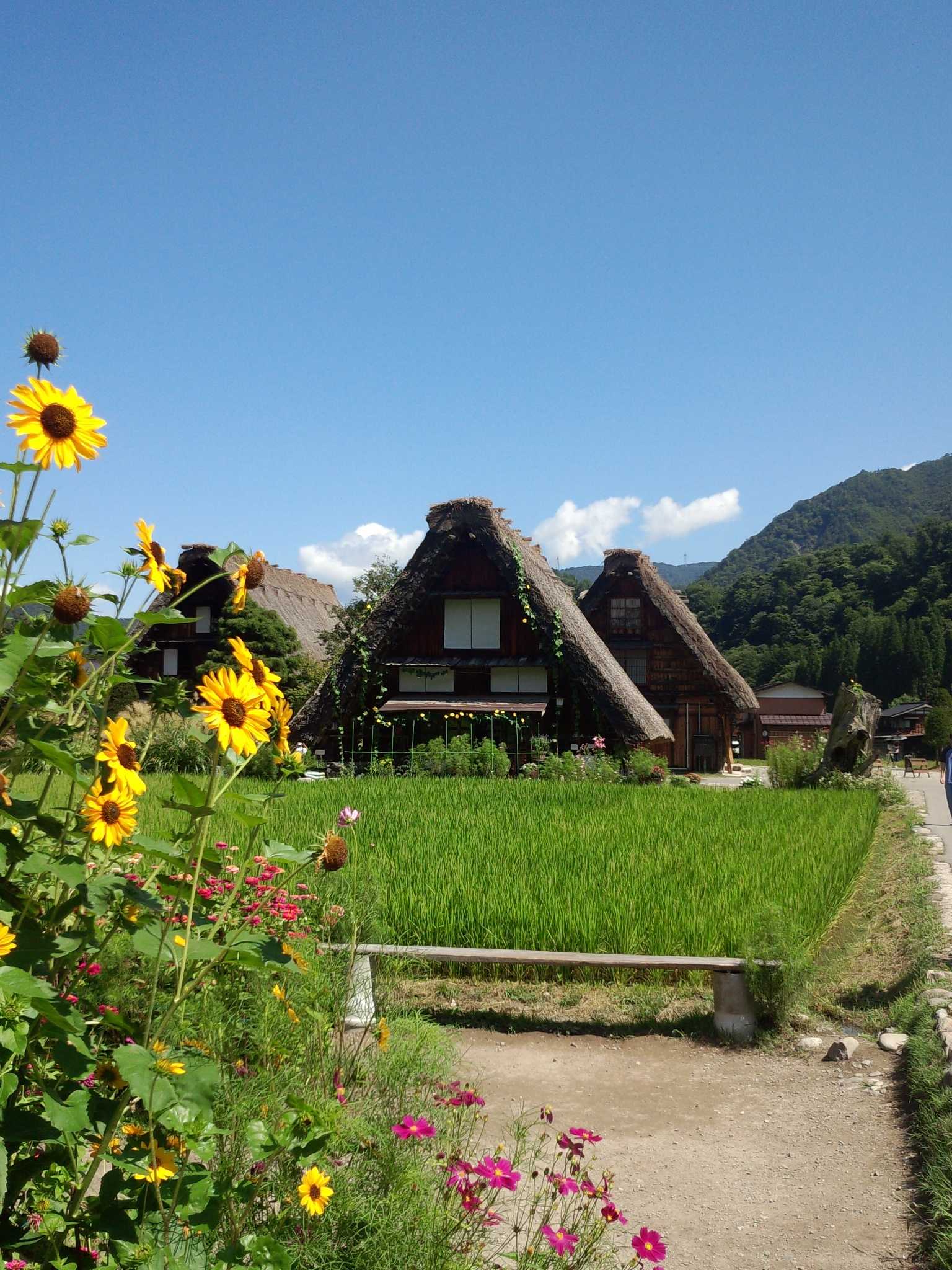 ぼちぼちでええやん～日日是好日～