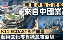 新世界逾四成盈利來自中國業務 K11 ECOAST即將開幕 藝術文化零售概念攻深圳