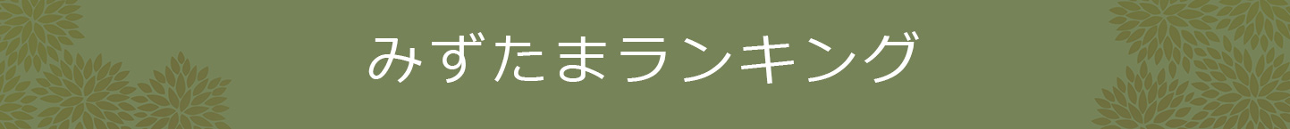 ランキング