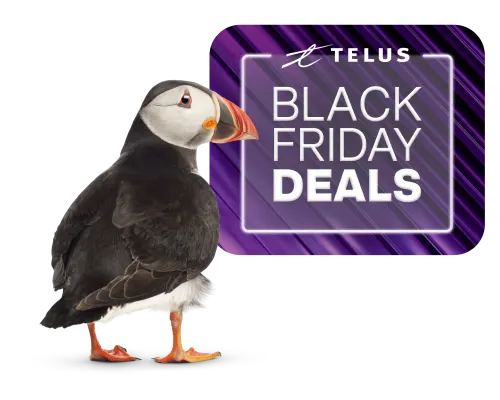 A Puffin stands infront of a logo that reads, "Black Friday Deals".