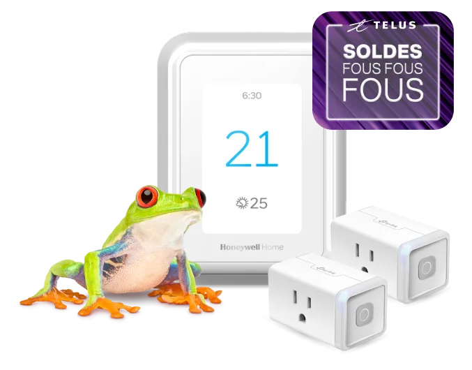 Une grenouille se tient à côté d’un thermostat intelligent et de deux prises de courant intelligentes qui portent l’inscription « Soldes du Vendredi fou ».