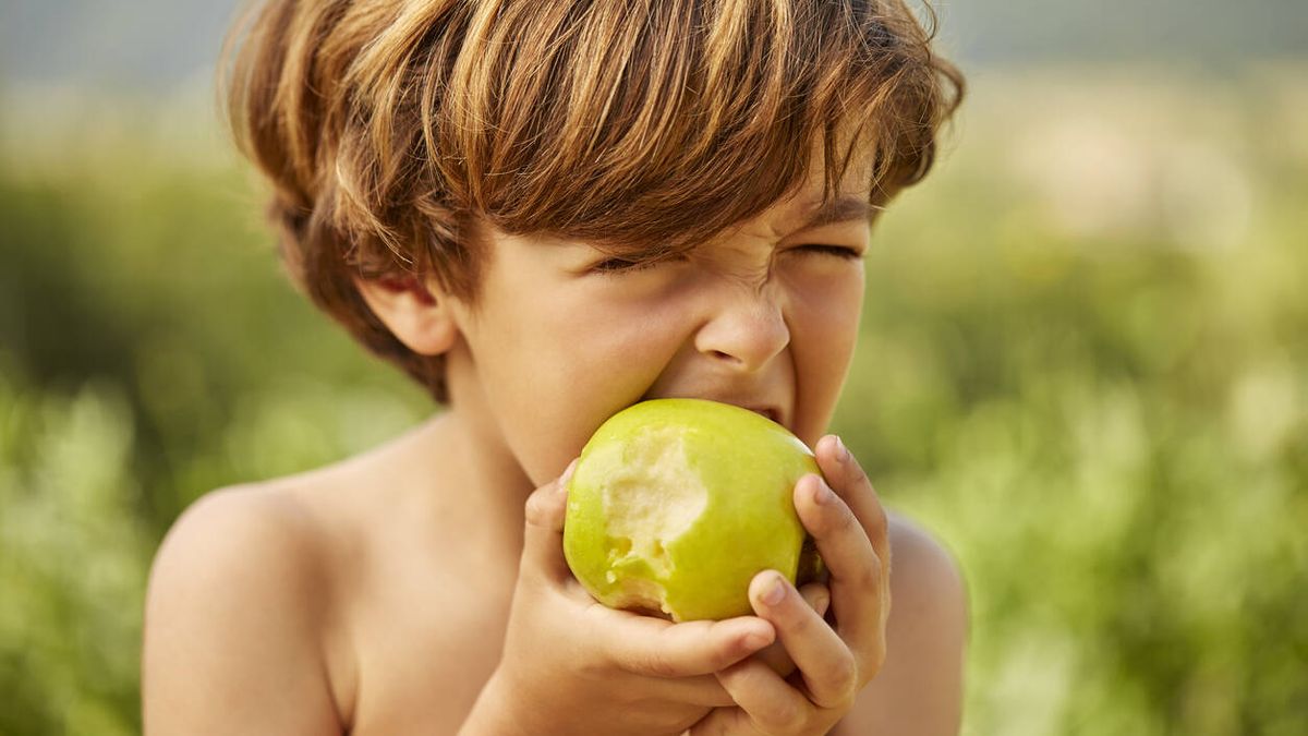 Descubre la LTP, la gran causante de alergias alimentarias