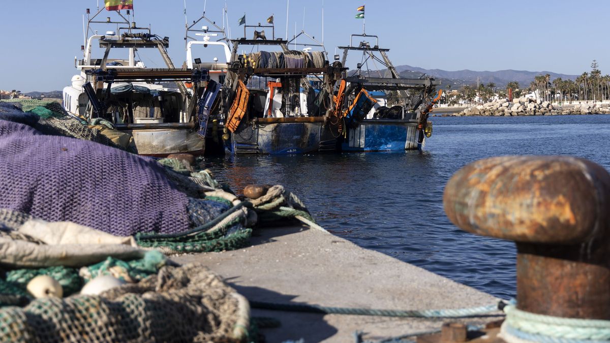 El grito de auxilio de cuatro pesqueros vascos en Senegal: "Necesitamos créditos para trabajar"