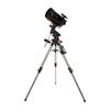 Celestron Advanced VX 8-Inch...