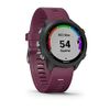 Garmin Forerunner 245, GPS...