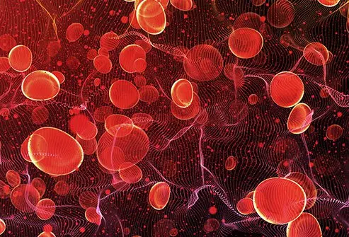 Illustration of blood cells