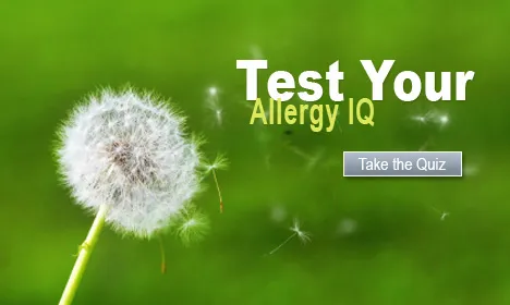 Test Your Allergy IQ