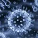 Adenovirus 14 (Killer Cold Virus)