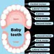 What Order Do Baby Teeth Come In?