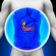 Gallbladder Pain