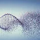 Can You Get Pregnant with MTHFR Gene Mutation?