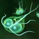 Does Giardia Go Away on Its Own?