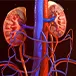 Can You Live With Stage I Kidney Disease?