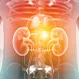 Can a Damaged Kidney Repair Itself?