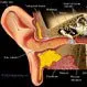 Noise-Induced Hearing Loss