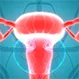 What Are Common Reproductive Health Issues?