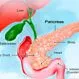 Picture of Pancreas