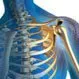 Sacroiliac (SI) Joint Pain