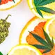 What Do Terpenes Do for Your High?