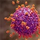 What Is a Detectable HIV Viral Load? Normal Viral Load