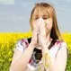 Hay Fever