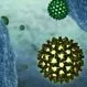 Hepatitis B (HBV, Hep B)