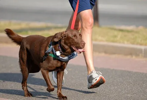 Make regular vigorous exercise part of your quit smoking program.