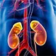 Kidney Cancer: Symptoms, Stages, and Treatment