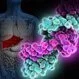 Hepatitis C (Hep C): Symptoms, Treatments, Antivirals