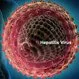 Hepatitis C, Hep B, Hep A: Symptoms, Causes, Treatment