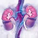 Kidney Health: Warning Signs of Kidney Problems