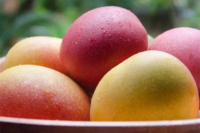 Mango skins are rich in vitamins E and C, antioxidants, polyphenols, carotenoids and omega-3s and omega-6s. 