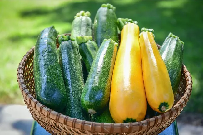 Zucchini peels have ample amounts of carotenoids, lutein, and loads of antioxidants. 