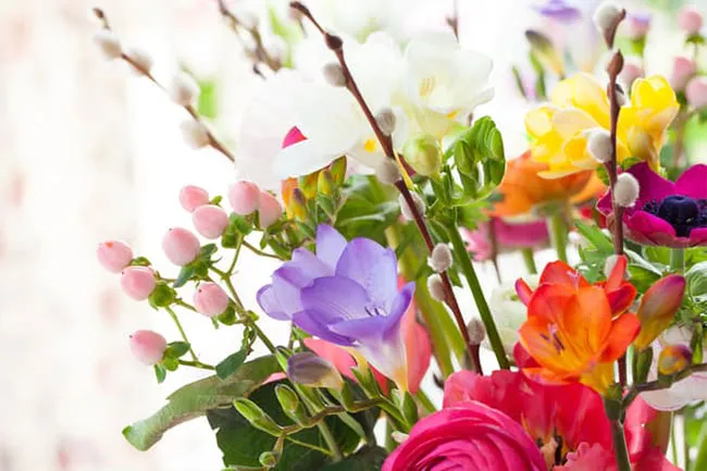 Fresh-cut blooms, whether from the store or your yard, can instantly put you at ease.