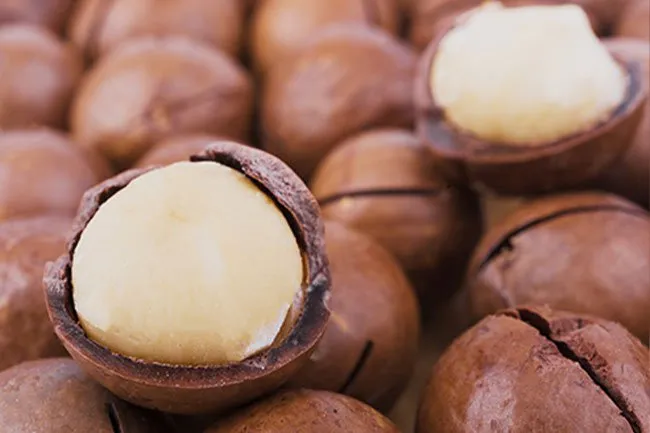 Milk made from macadamia nuts is one more option for people on a plant-based diet.