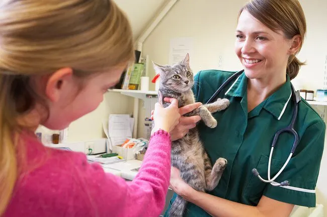 Talk to your vet before you try any natural treatment for your pet, even if it's something your doctor has given you the OK to take.