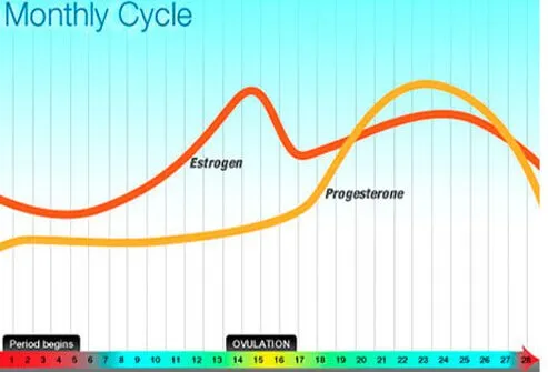 The exact cause of PMS is not clear, but we do know that levels of estrogen and progesterone drop during the week before your period.