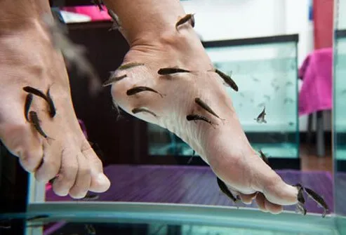 Some salons let a certain kind of fish nibble the calluses off your feet rather than scrubbing them off.