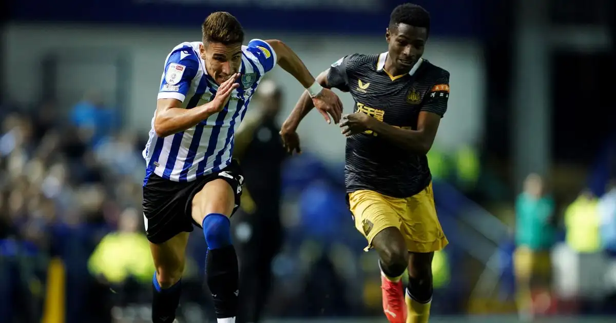 Sheffield Wednesday loanee clarifies future amid talks of Wolves recall