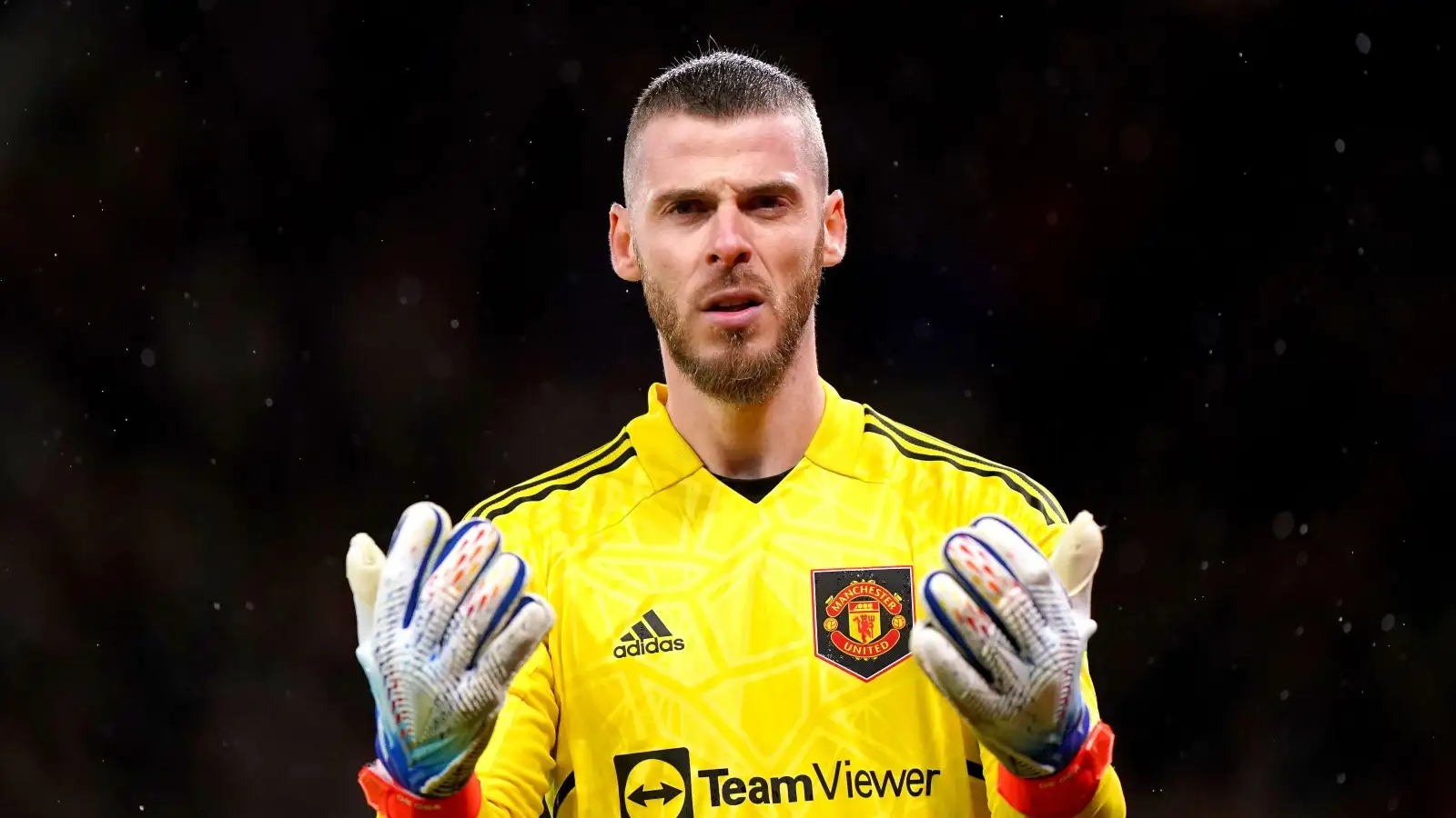 Man Utd make three-man goalkeeper shortlist as rumours heighten £45m star could oust De Gea